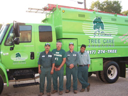 Residential Tree Care Services In Northlake, TX
