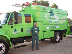 Bedford, TX Tree Care Services